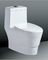 One-Piece Ceramic Toilet Sanitary Ware supplier