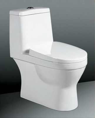 Double Flush Siphonic One-Piece Toilet Sanitary Ware , Space Saving Toilets