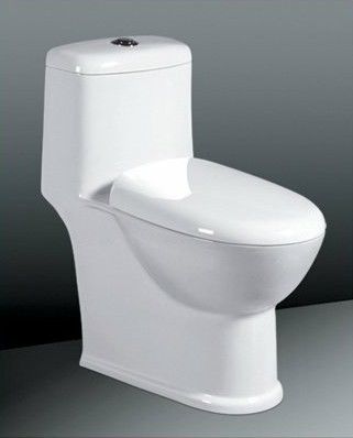 Two Flush Floor Mounted Toilet Sanitary Ware , One-Piece Elongated Toilet Bowl
